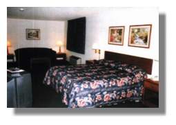 typical suite