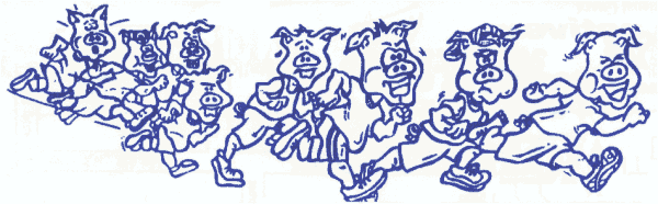 Stampeding Pigs